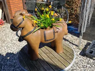 Krukker Heste