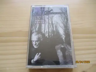 Sanctuary - Into the mirror Black + MC + Metal +
