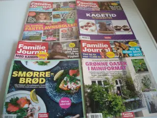 Familie Journal nr. 7, 8, 9, 10 2025 ugeblade