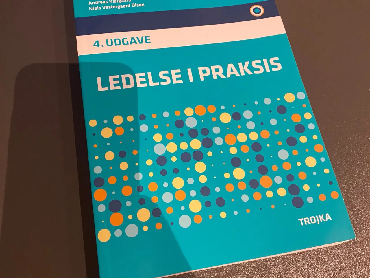 Billede 1 - Ledelse i praksis 4. udgave