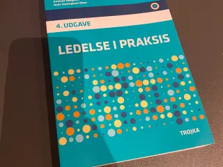Ledelse i praksis 4. udgave