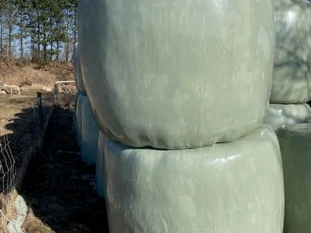 Billede 1 - Wrap Hø