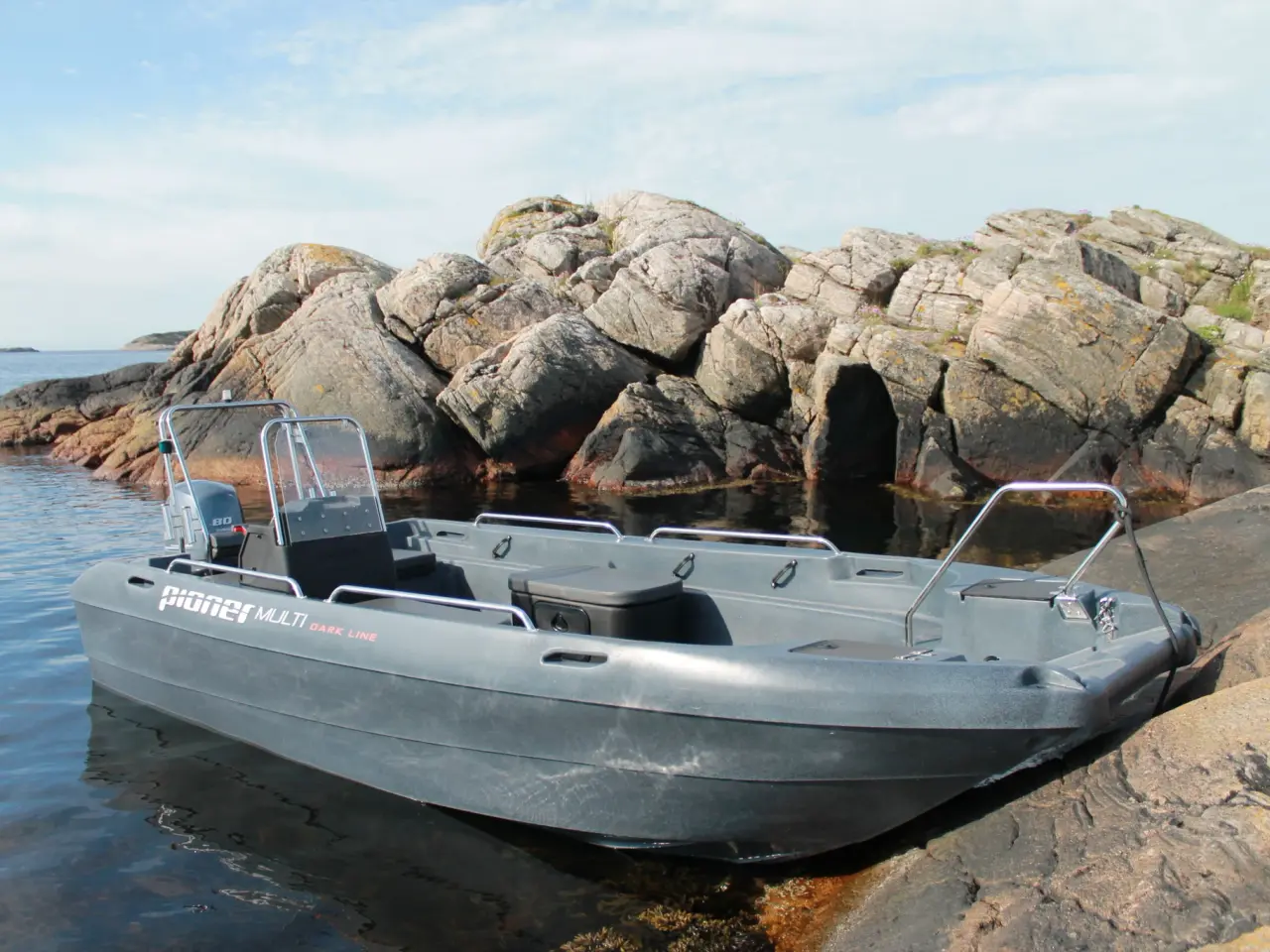 Billede 41 - Pioner Multi III