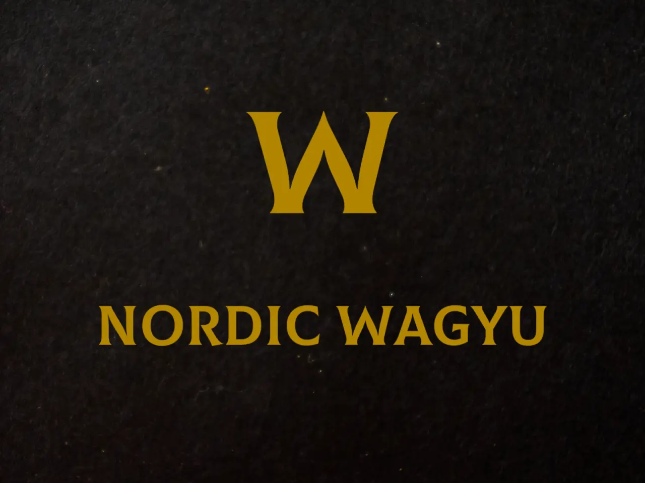 Billede 5 - To Wagyu køer til salg