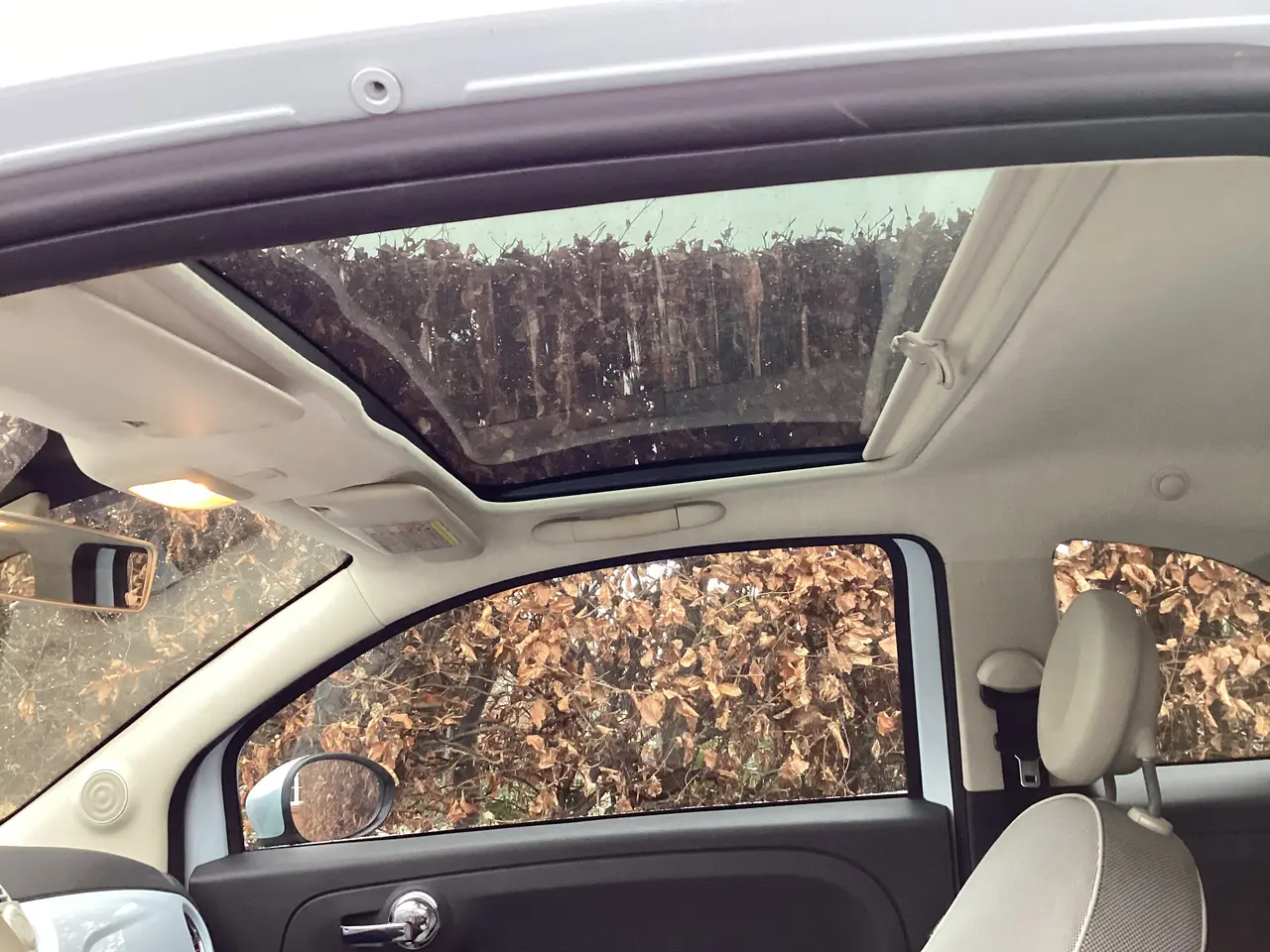 Billede 4 - Fin Fiat 500