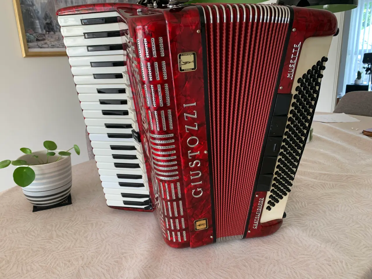 Billede 1 - Meget fin harmonika sælges