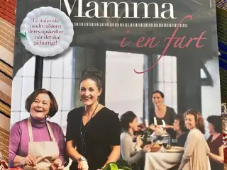 Moderne Mamma i en fart til salg