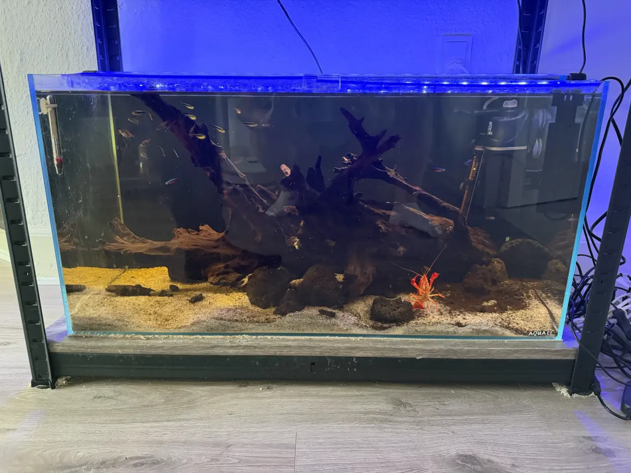 Billede 2 - Aquael Opti Tank 80 - 112L