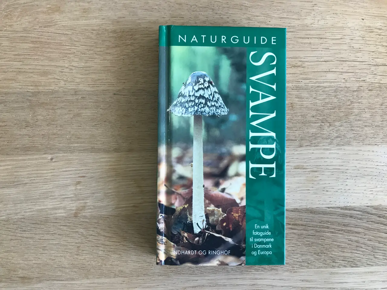 Billede 1 - Naturguide SVAMPE