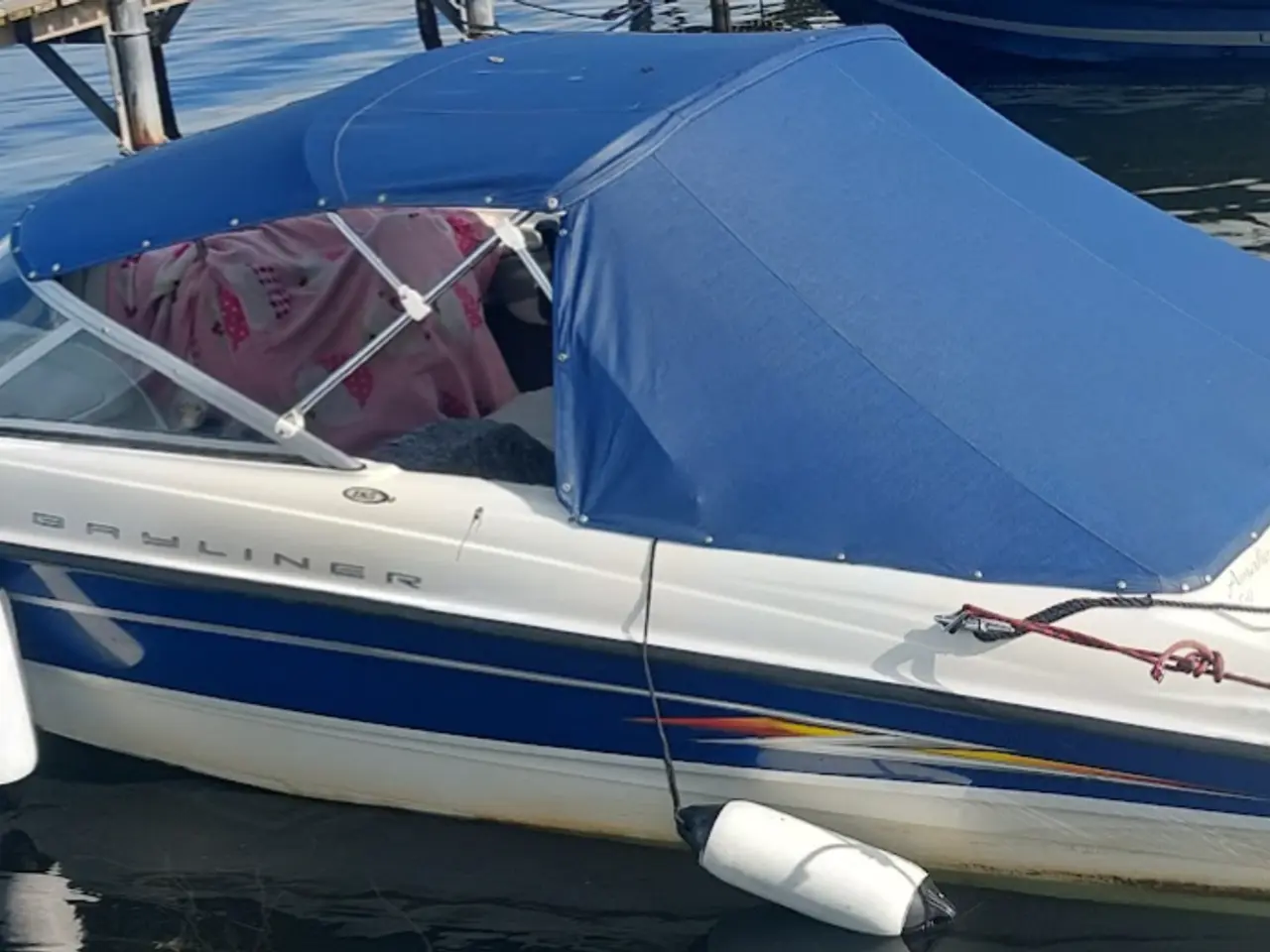 Billede 8 - Bayliner speedbåd m trailer