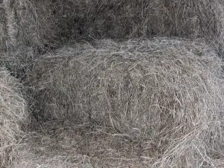 Hø