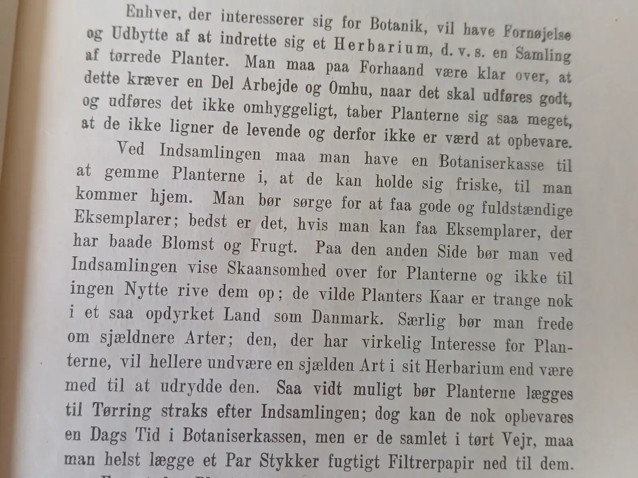 Billede 5 - Lille Flora af H. Rasmussen & K. Simonsen