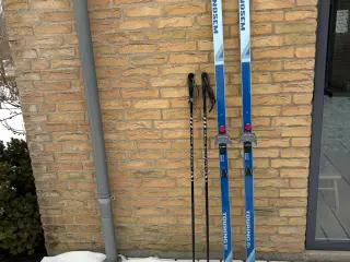 Langrendsli