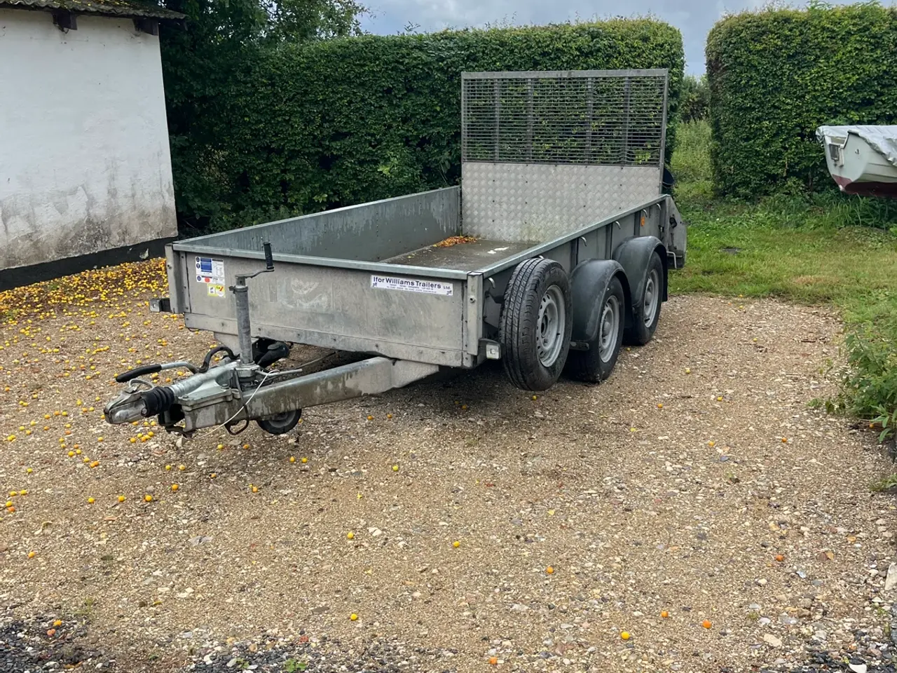 Billede 1 - Ifor Williams trailer 