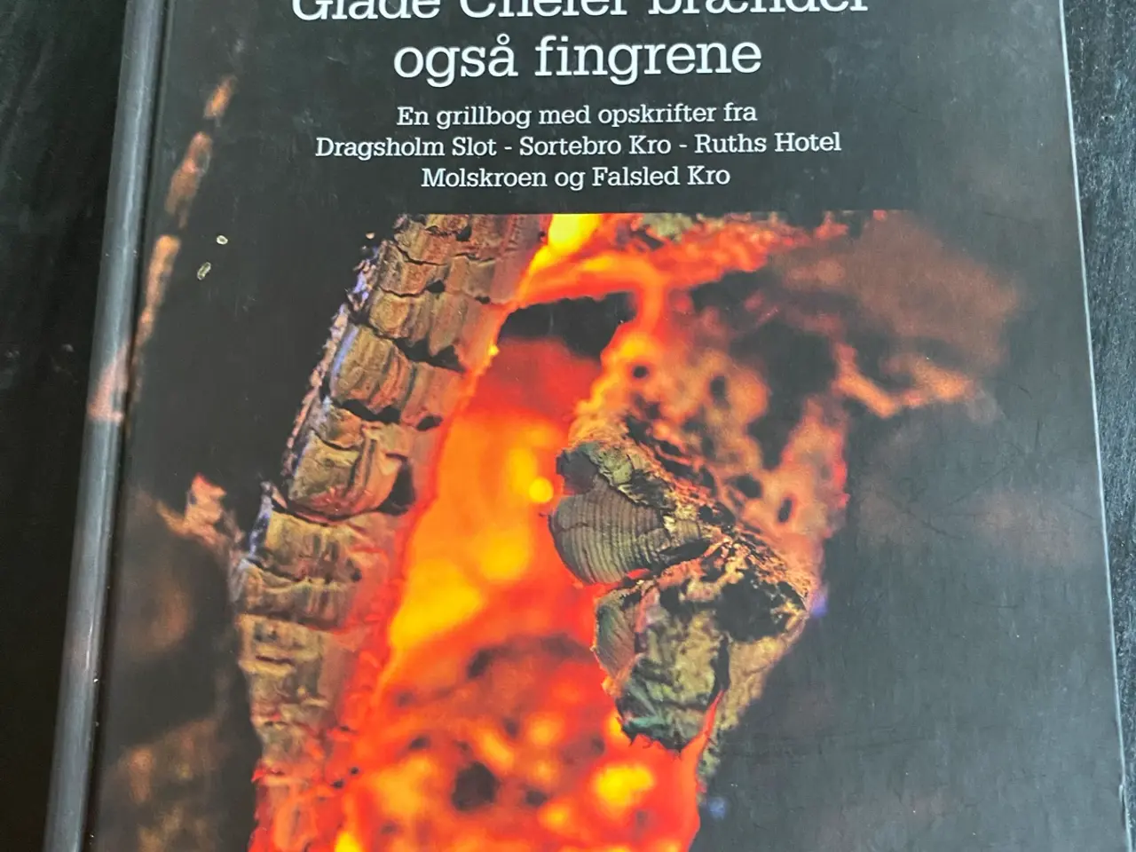 Billede 1 - Glade Chefer brænder også fingrene – grillbog med