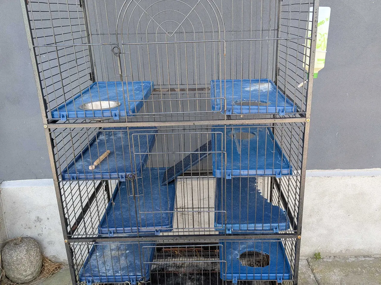 Billede 4 - stor brugt chinchilla