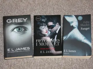 Fifty Shades Gray, Fanget af E L James