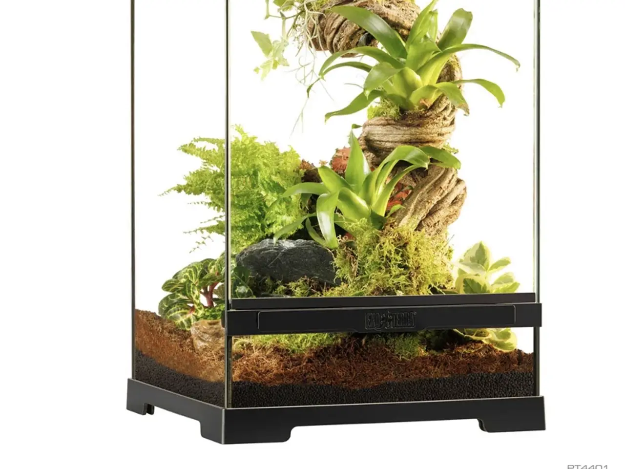Billede 8 - Exo terra lille terrarium