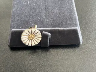 Ørering