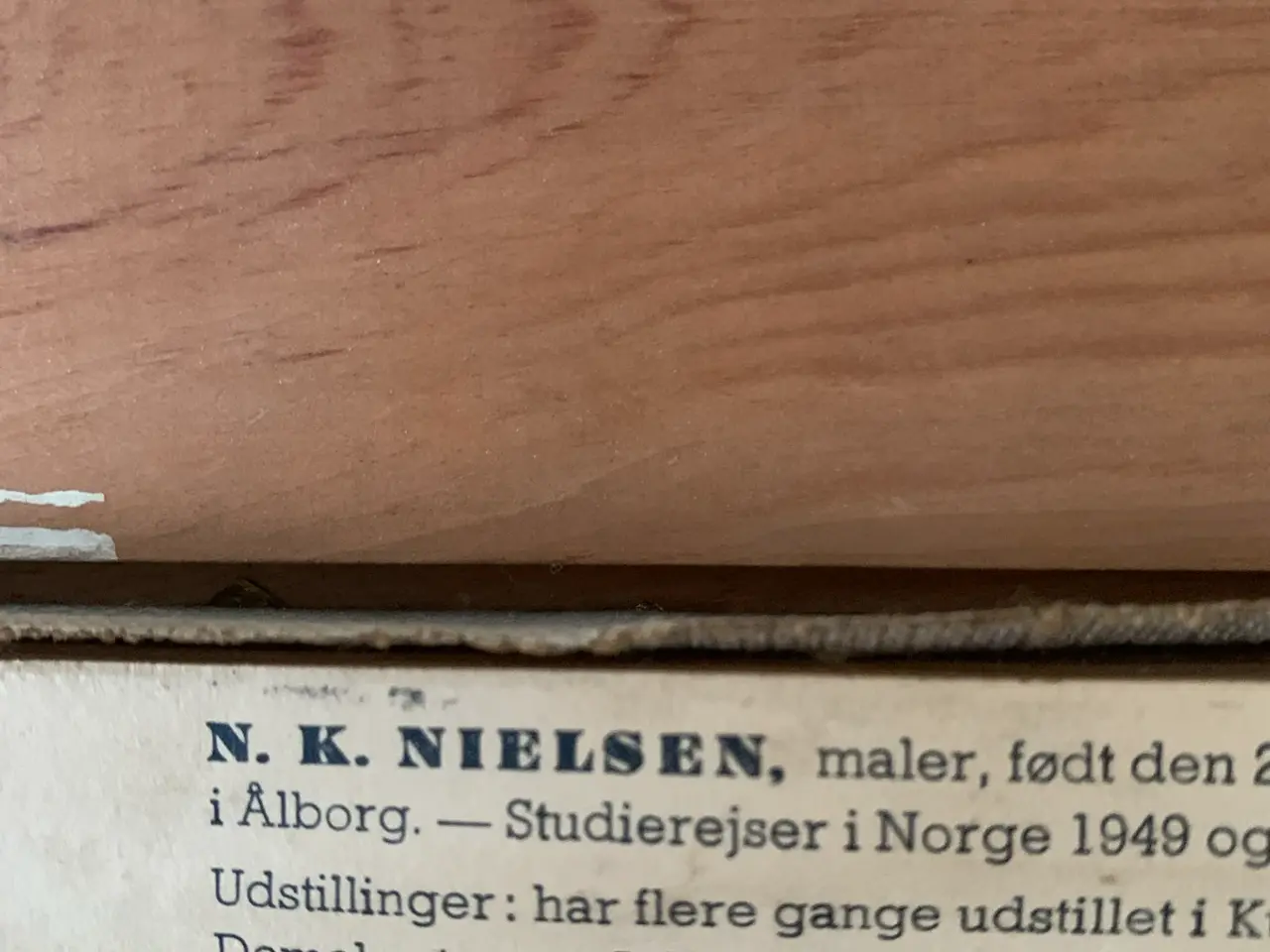 Billede 5 - N.K.Nielsen - Molsmaleren