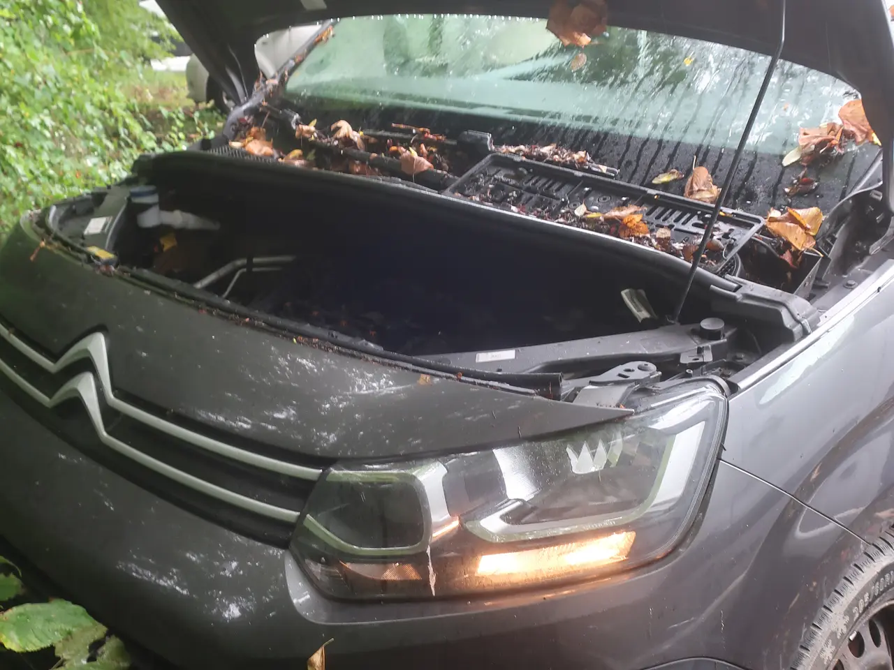 Billede 32 - Varebil CITROËN BERLINGO VAN 1,5 BLUEHDI 130 HK L2 EAT8