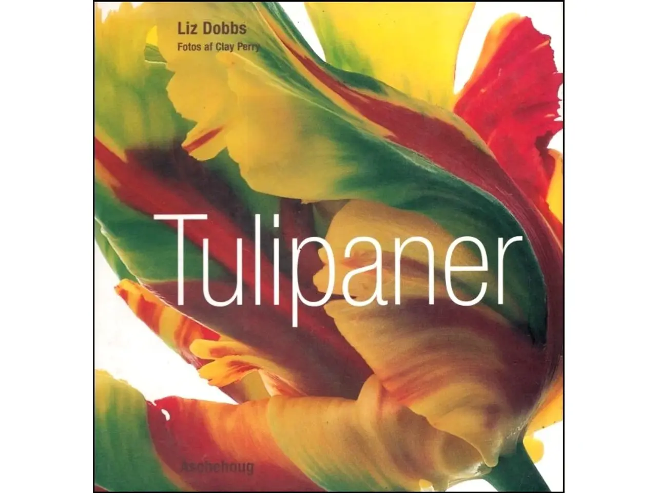 Billede 1 - Tulipaner