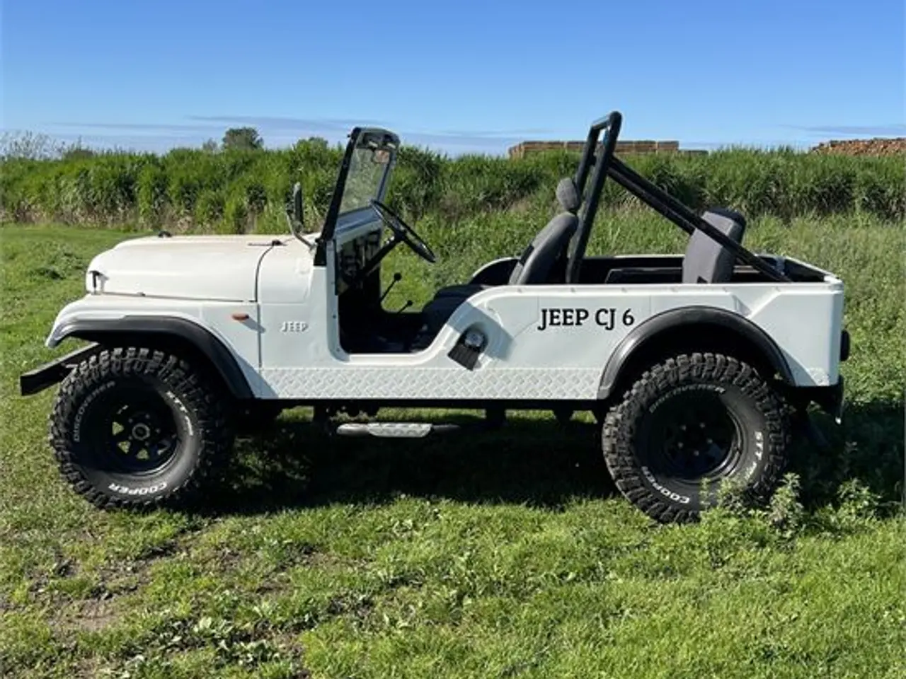 Billede 5 - Jeep CJ6 - Video