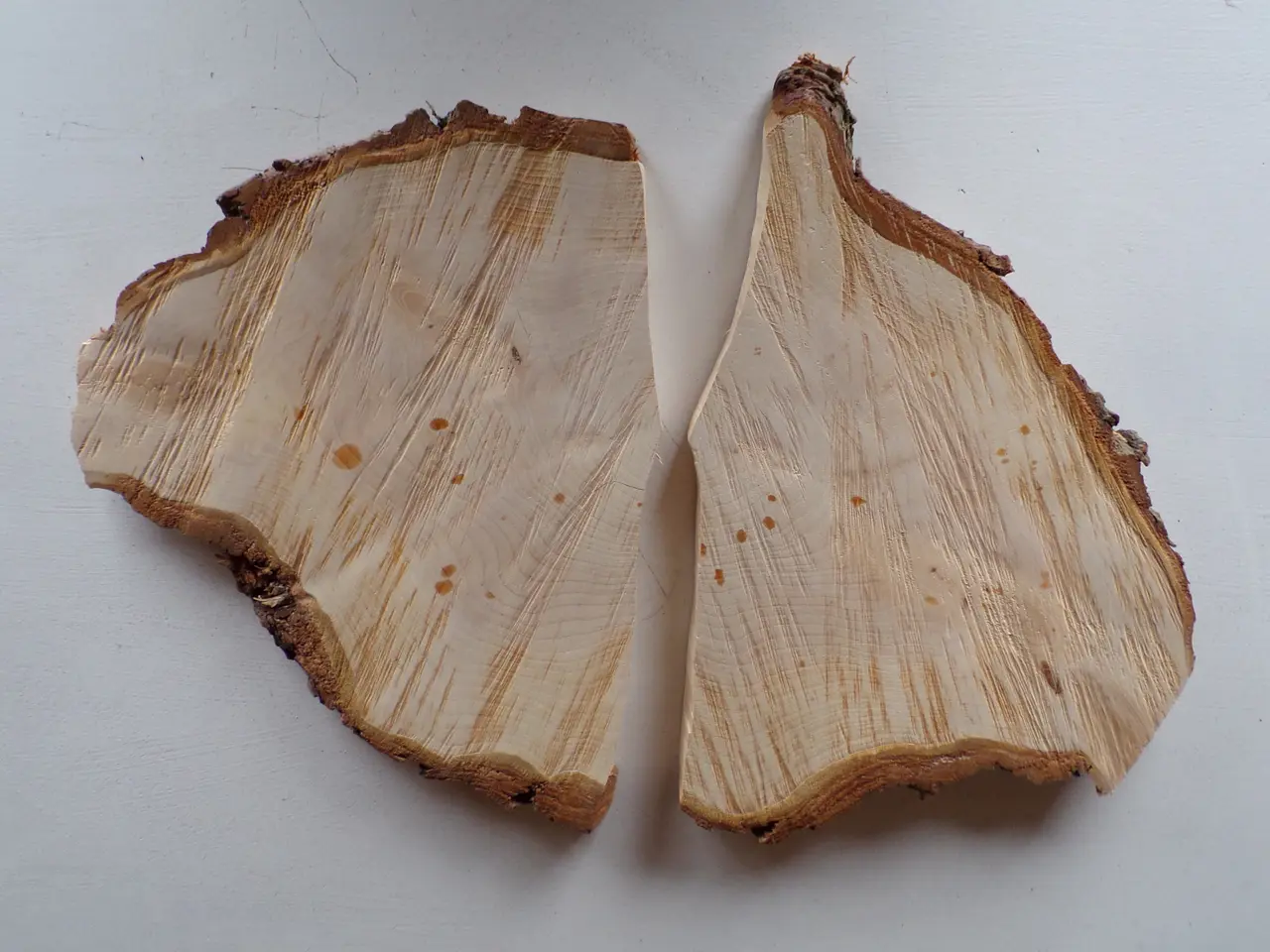 Billede 2 - 2 Thuja træskiver med bark
