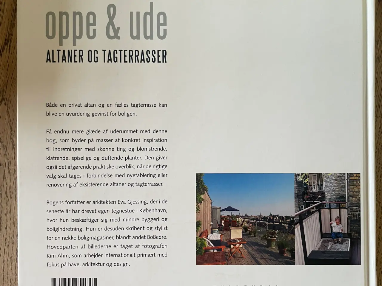 Billede 2 - oppe & ude Altaner og tagterrasser, Eva Gjessing