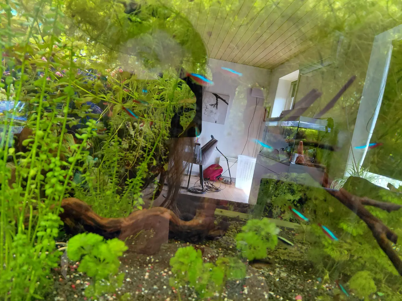 Billede 4 - 720 liters Akvarie 