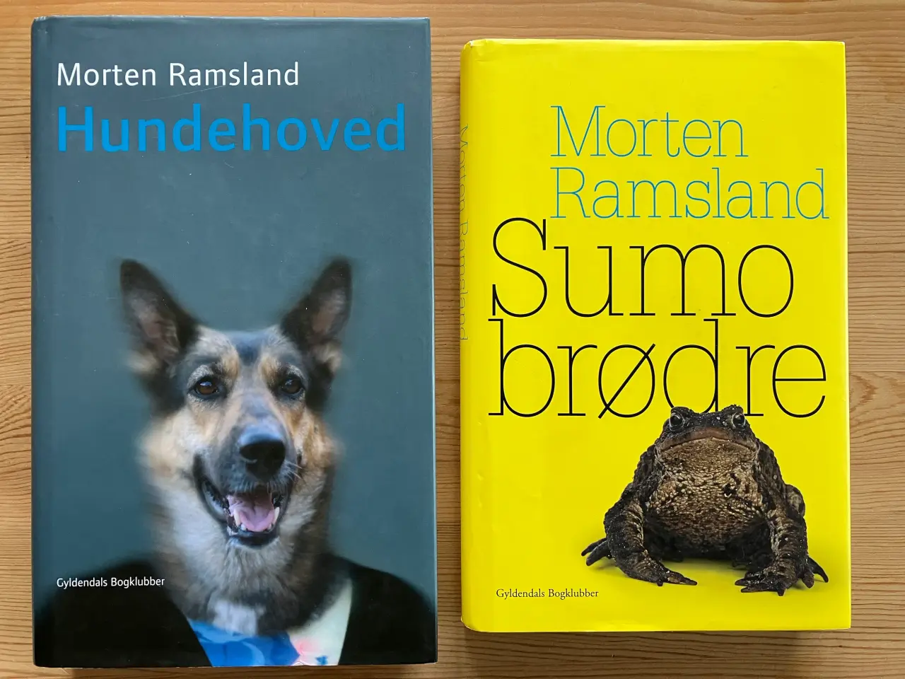 Billede 1 - NEDSAT: Morten Ramsland, 2 romaner