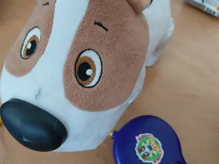 Bamse hund