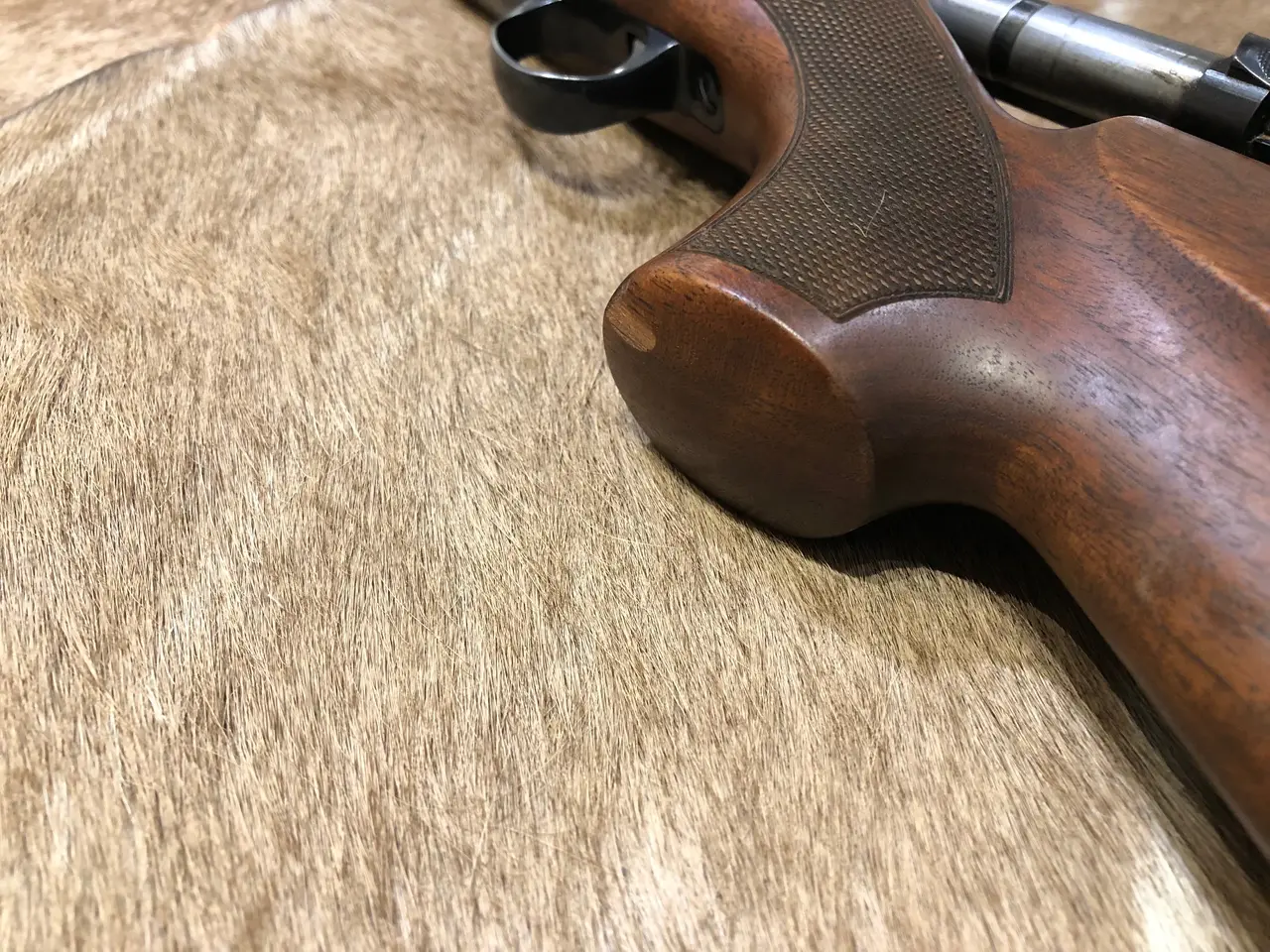 Billede 3 - Sako AV Hunter