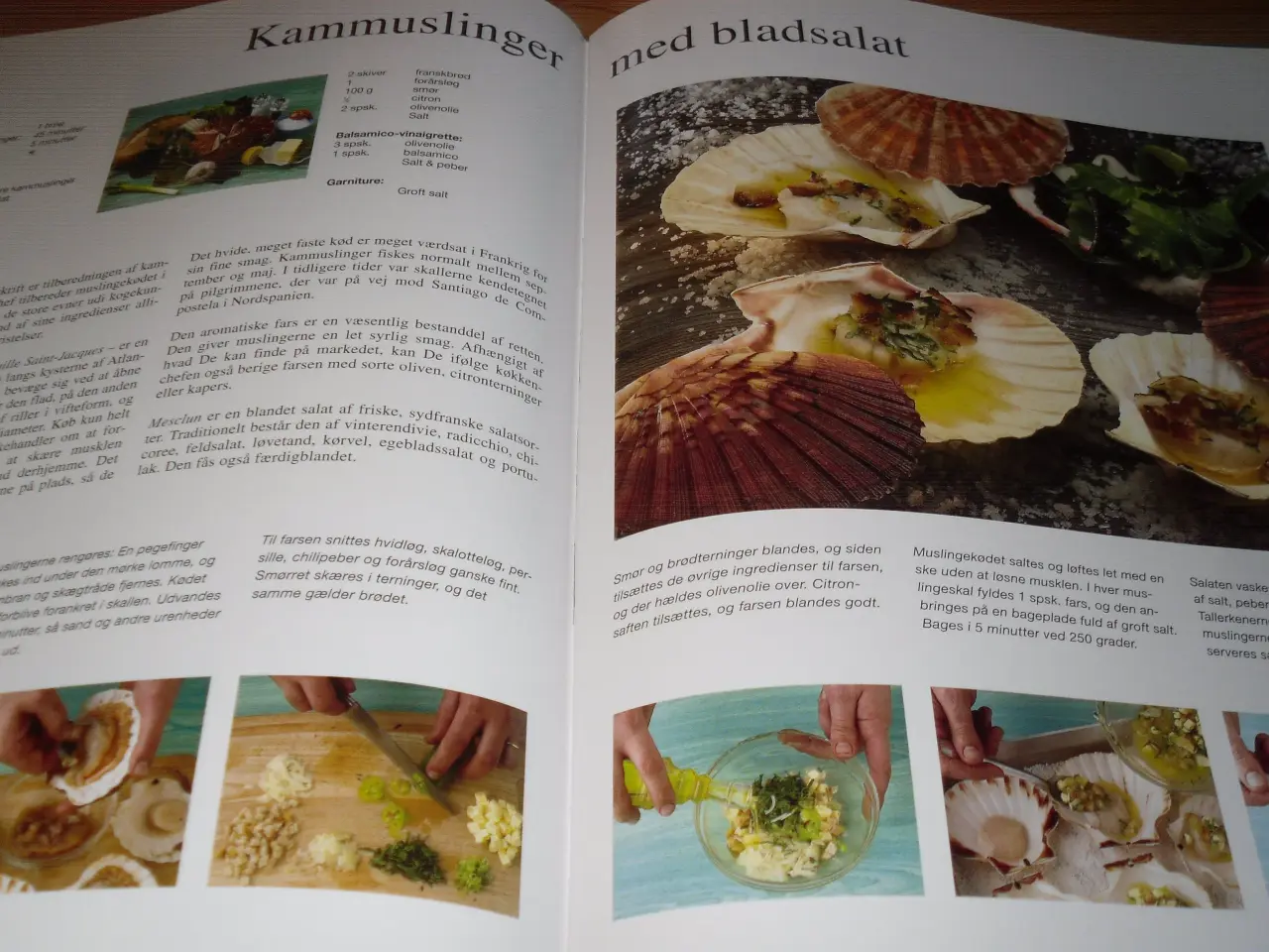 Billede 2 - FRANKRIG. Middelhavets Fristelser.
