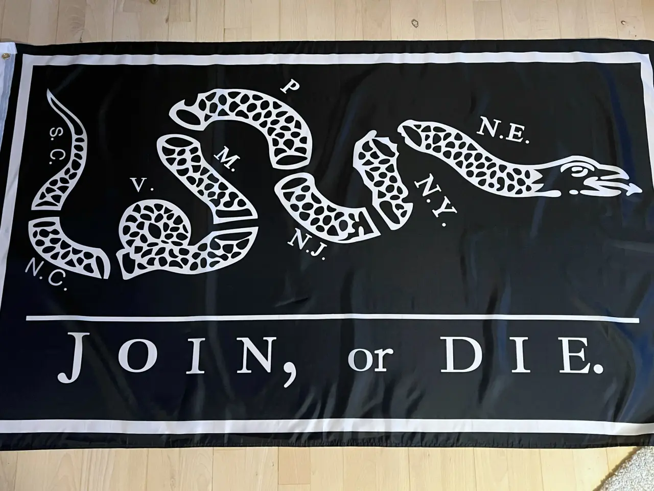 Billede 2 - Flag med Join, or die