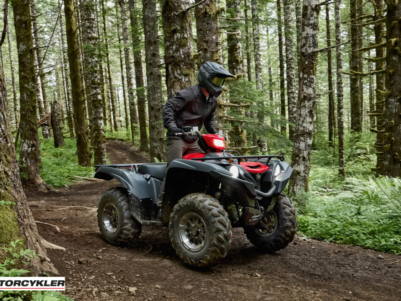 Billede 4 - Yamaha Grizzly 700 EPS Traktor