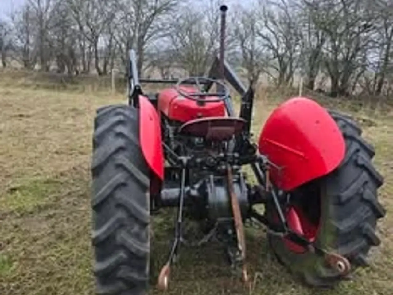 Billede 8 - Massey ferguson MF35 benzin