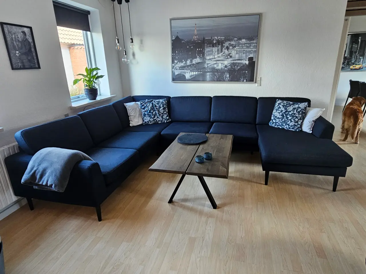 Billede 2 - Blå stof sofa 