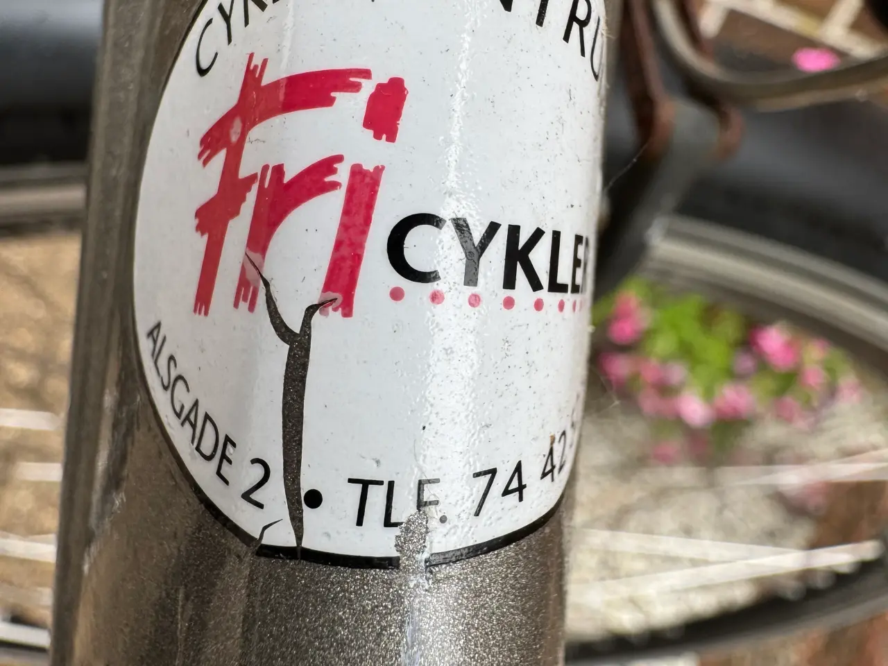 Billede 3 - Juniorcykel / Damecykel, Kildemoes Street ,7 gear