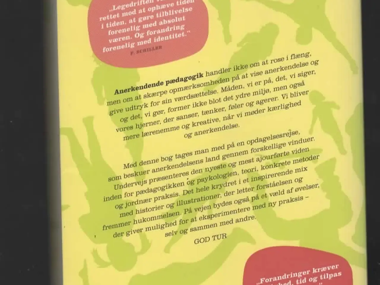 Billede 1 - pædagogik -anerkendende