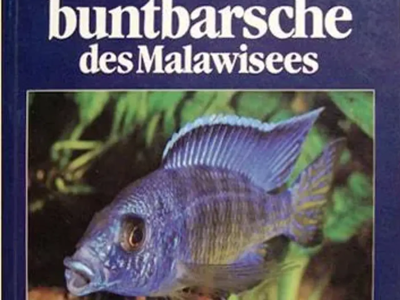 Billede 4 - Malawi Cichlids bøger, tysk - engelsk