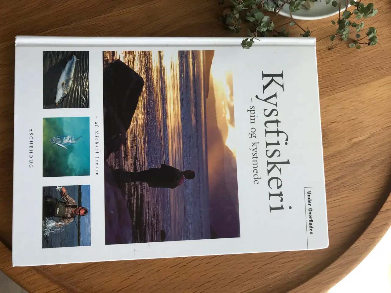 Billede 1 - Kystfiskeri - spin og kystmede af Michael Jensen