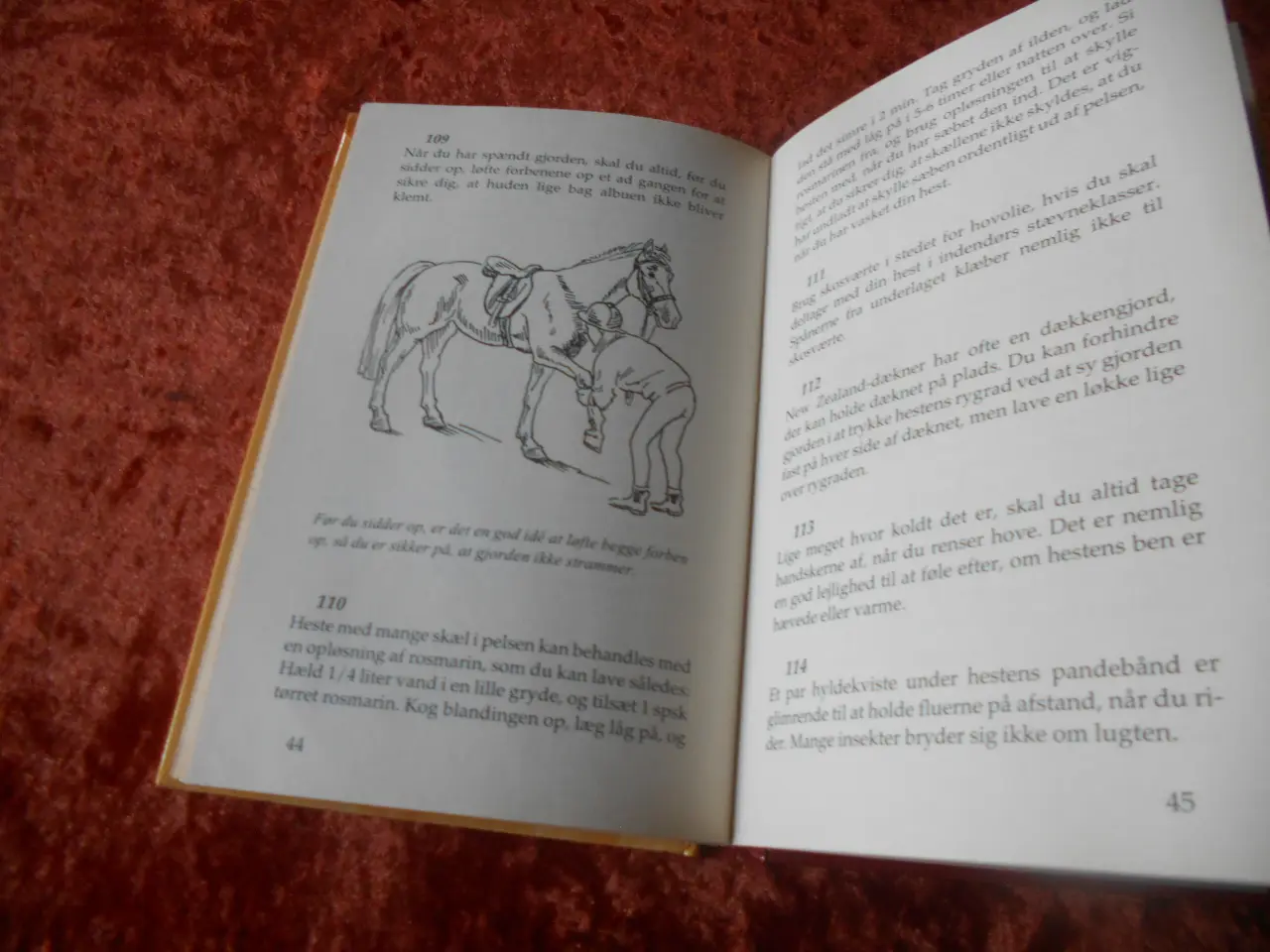 Billede 3 - Tip til de hesteglade, Karen Bush