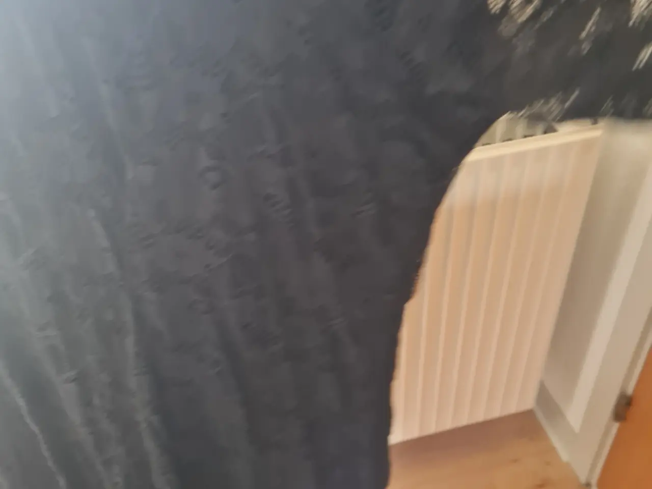 Billede 6 - Zizzi Ny sort blonde kjole str xl 54 