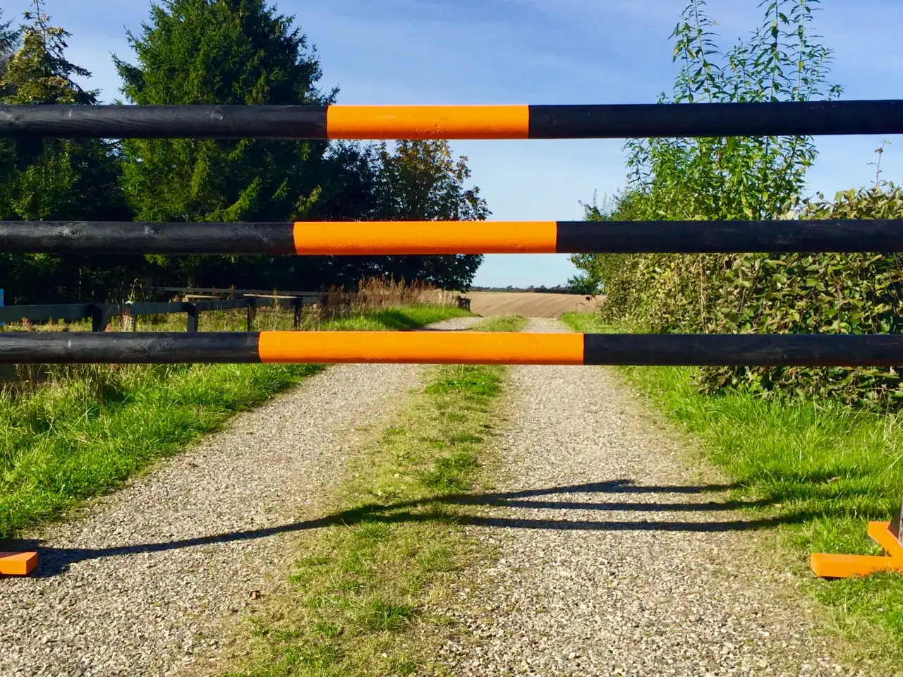 Billede 4 - Nye ridebanespring
