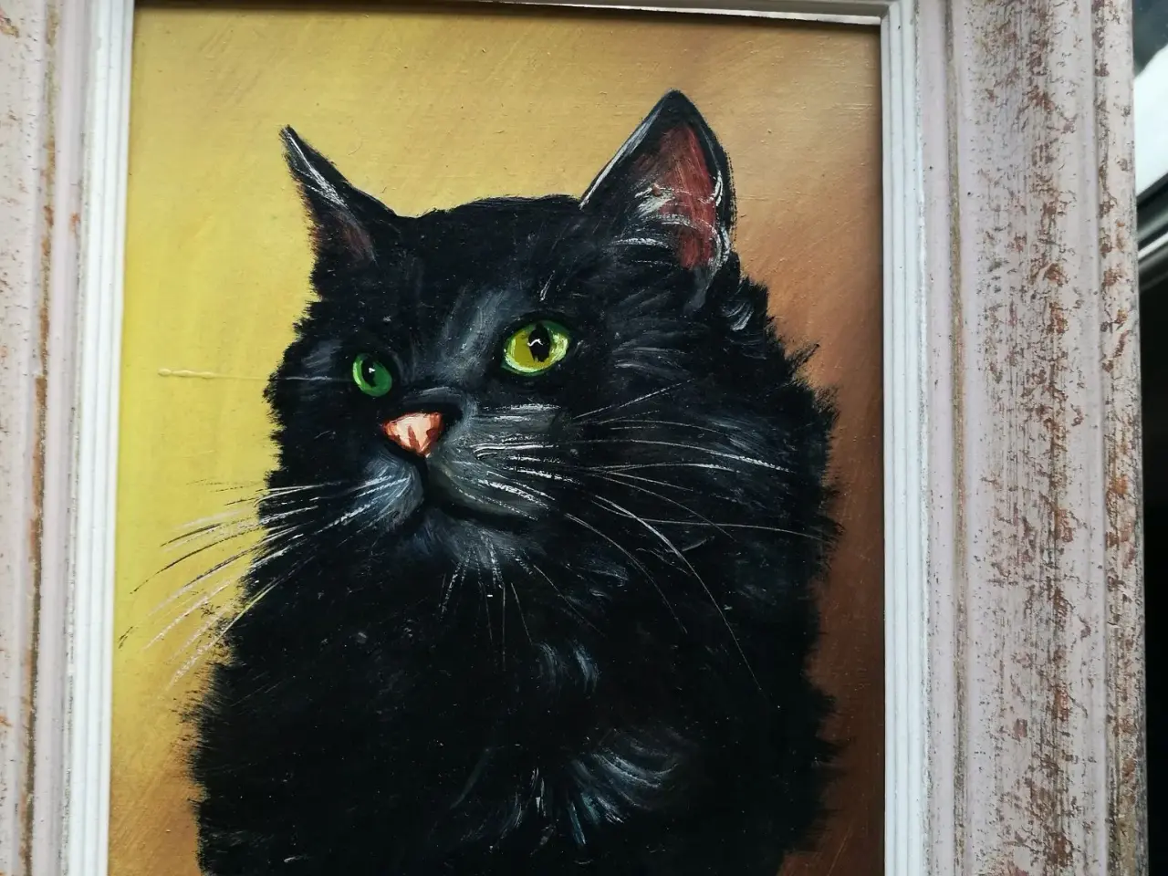 Billede 2 - Katten med de grønne øjne byd gerne