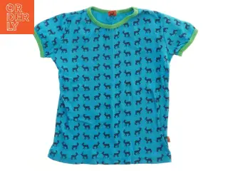 T-shirt med dyreprint (str. 116)