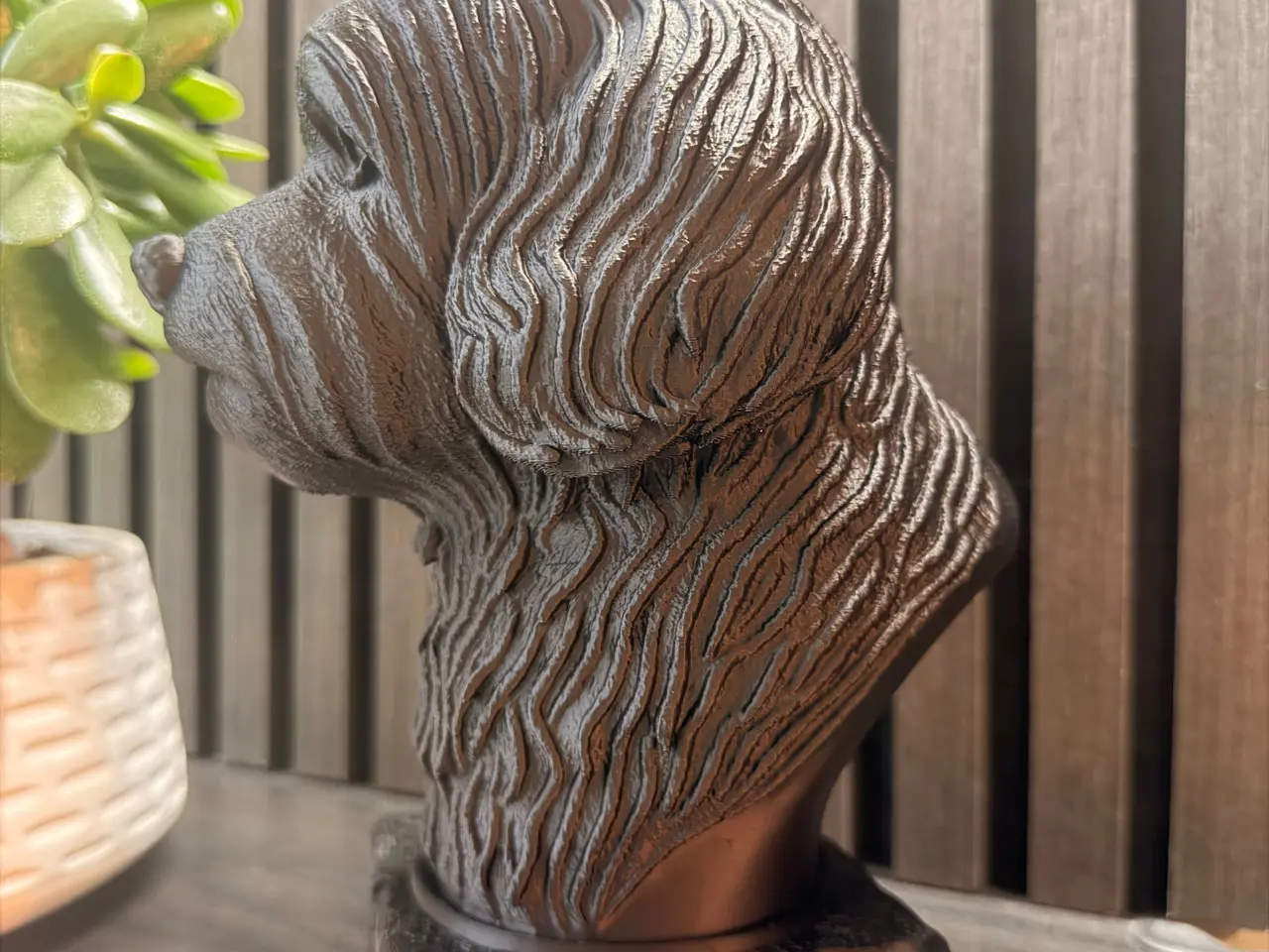 Billede 3 - Havanese Hund Buste