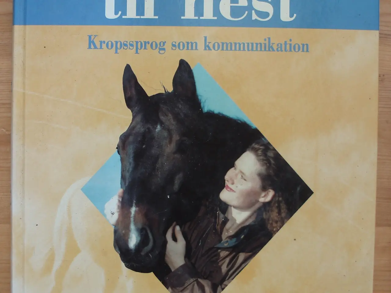 Billede 1 - Fra rytter til hest, kropssprog som kommunikation