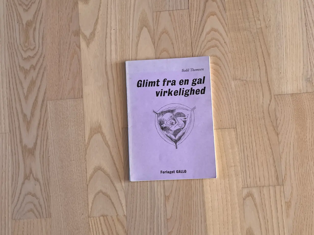 Billede 1 - Glimt fra en gal virkelighed - af Bodil Thomsen